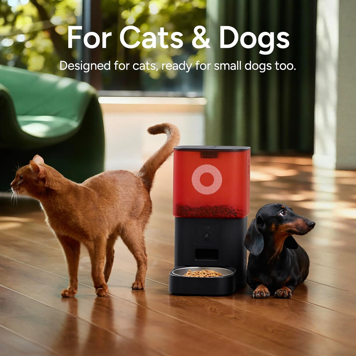 Distributeur Croquettes Chat Automatique Avec Caméra, 6L, Pour Chat Et Petit Chien, Audio Bidirectionnel, Vision Nocturne, Contrôle via App Wifi 2.4G, Bol En Acier Inoxydable (Blanc)