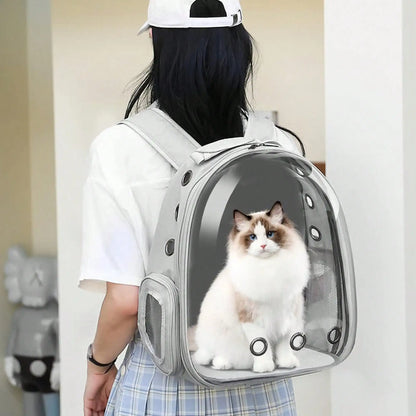 Sac À Dos Respirant Pour Chat 45×35×25Cm, Sac De Voyage Portable Pour Chat